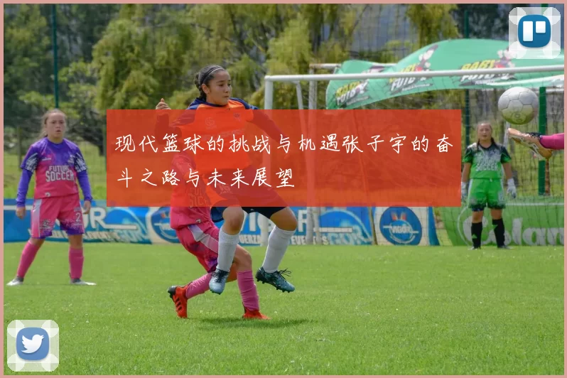 现代篮球的挑战与机遇张子宇的奋斗之路与未来展望