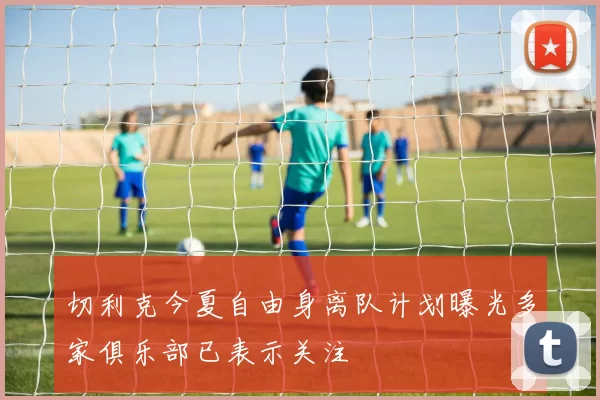 切利克今夏自由身离队计划曝光多家俱乐部已表示关注